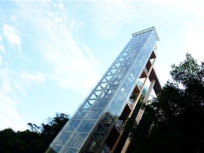 Panoramic elevators